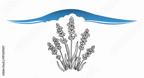 Delicate lavender sprigs beneath a stylized blue sky or wave