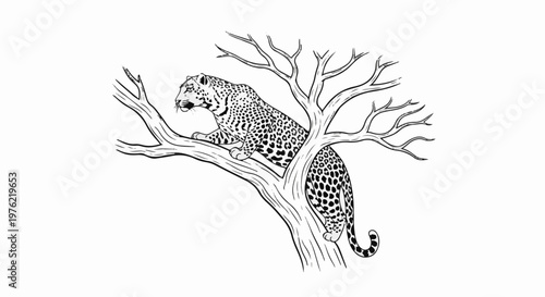 Black and white illustration of a spotted feline perched on bare tree branches