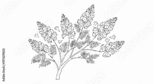 Black and white sketch of a blooming flowering plant with delicate petals and leaves