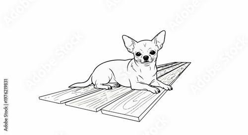 Charming chihuahua rests on wooden planks with a watchful gaze