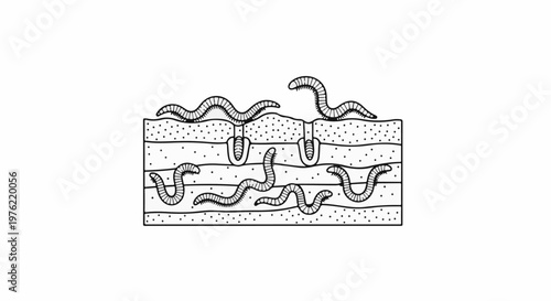 Black and white illustration of earthworms burrowing through layered soil