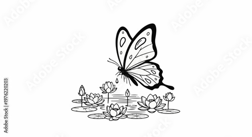 Black and white line art of a butterfly over water lilies