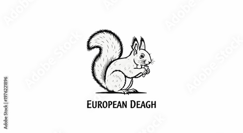 Black and white sketch of a squirrel holding a nut, below the text "EUROPEAN DEAGH