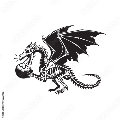 Black skeleton dragon holding a skull in its mouth on a white background Keywords: dragon, skeleton, skull, holding, mouth, Skeleton Silhouette