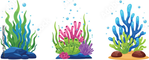 Underwater Coral Reef Vector Illustration Set with Sea Plants and Marine Coral Elements Ocean Aquarium Collection Isolated on Background