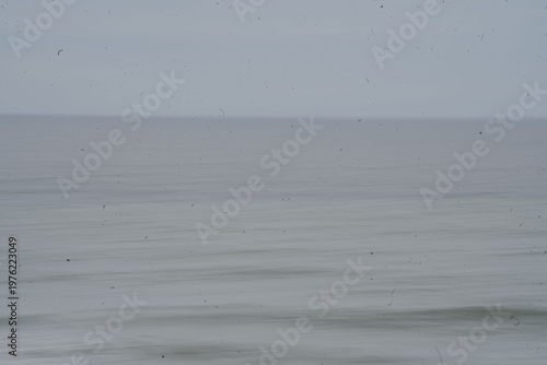 Photos et vidéos de vagues océaniques – Pack HD/4K pour Instagram et sites web