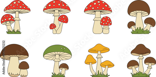 Mushrooms and Fungi Vector Set Featuring Red, Brown, Yellow, and Green Mushrooms with Grass for Nature and Forest Illustrations