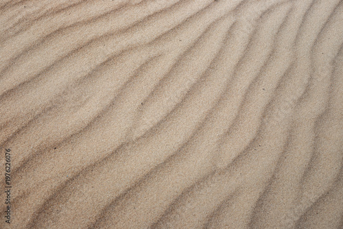 Close-up of wind-swept sand dunes on a beach. Natural patterns, sand texture, beach landscape, serene environment.