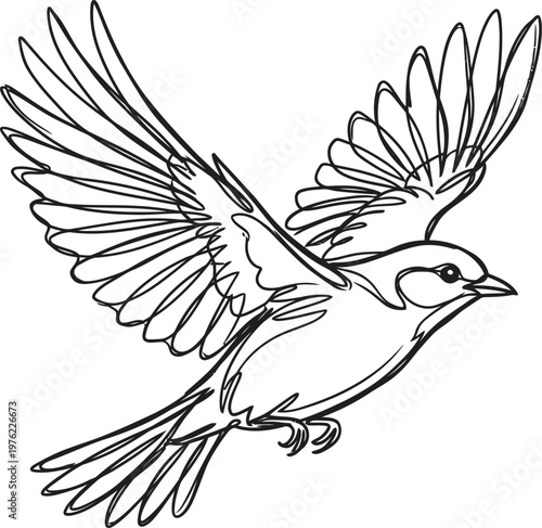 A flying bird in mid air with its wings spread wide open