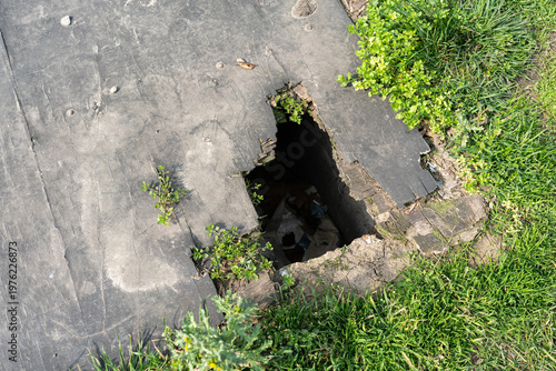 Wallpaper Mural Broken Pavement With Sinkhole Surrounded By Grass And Weeds, Jagged Concrete Edges Exposing Dark Cavity And Shallow Underground Void, Moss And Moisture At Rim, Signs Of Neglect And Crumbling Torontodigital.ca