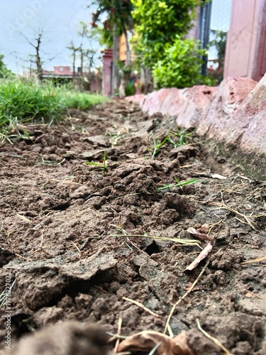 Textured Soil with Garden Border.