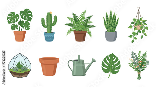 Houseplants and gardening items collection features various potted plants, green foliage, and essential tools for home decor and indoor gardening.
