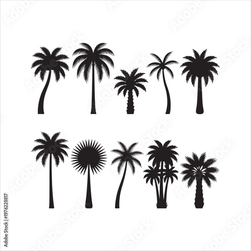set of vector palms