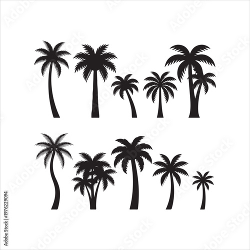 vector illustration of palm trees
