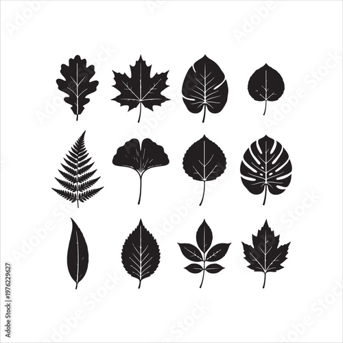 vector set of autumn leaves