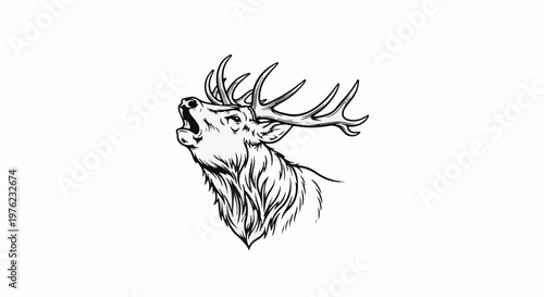 Majestic stag with antlers outstretched, head thrown back
