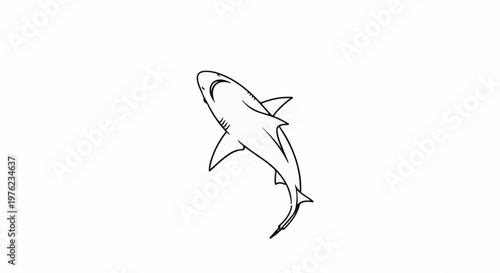 Hand drawn outline of a grey shark swimming upwards against a white background