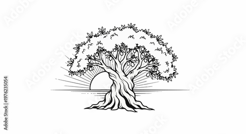 Gnarled, ancient fruit tree with rising sun silhouette behind it