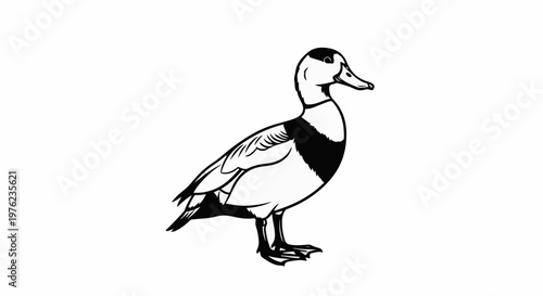 Line art illustration of a duck standing on a white background