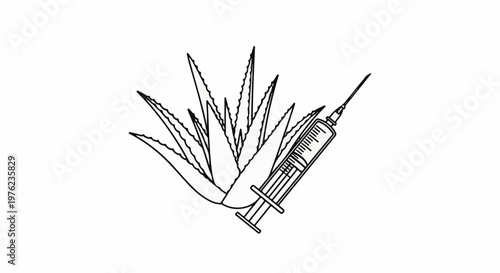 Line art illustration of aloe plant with medical syringe
