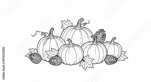 Line art illustration of five pumpkins with pine cones and leaves
