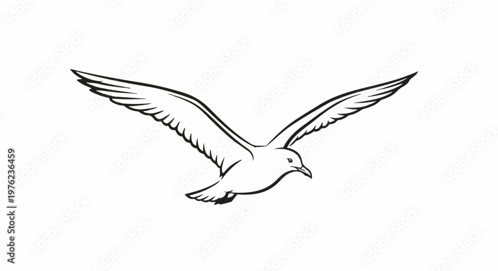 Obraz premium Line art of a seagull in mid-flight, wings spread wide