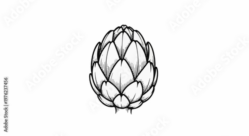 Hand-drawn illustration of a single artichoke on a white background