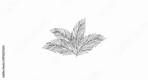 Hand-drawn sketch of several palm fronds against a white background