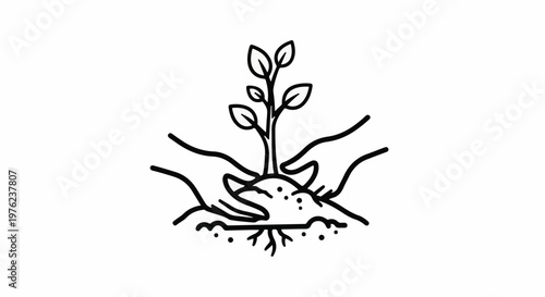 Hands gently cradle a young plant growing from soil and roots