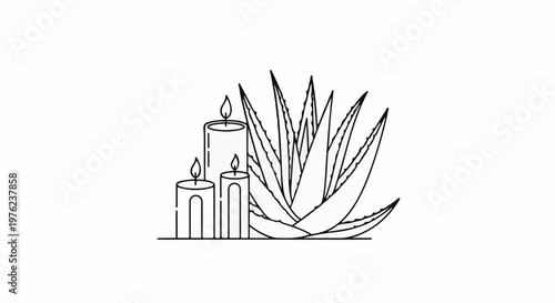 Line art of three lit candles beside a spiky aloe vera plant