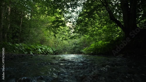 River flowing down across forest valley. Mountain wild river surrounded by hills covered by green leaves at summer day. Concept of environment and landscapes
