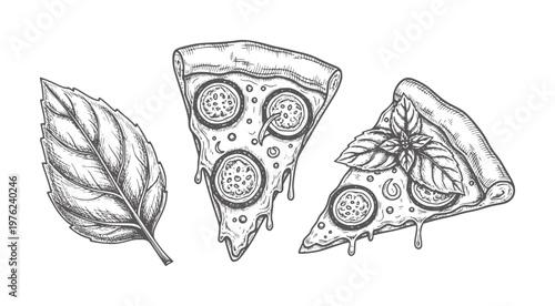 Hand drawn pizza slices and basil leaf food