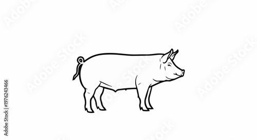 Stylized line drawing of a pig facing right on a white background