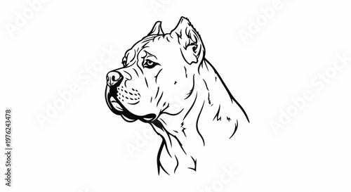 Stylized line drawing of a powerful dog's head in profile, looking left