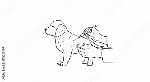 Stylized line drawing of a puppy receiving an injection from a veterinarian
