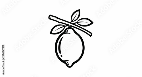 Stylized outline drawing of a single lemon on a branch with leaves