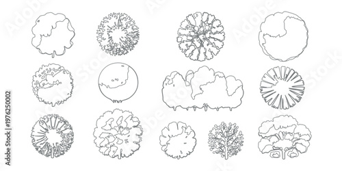 Architectural tree plan view symbols in line art style for professional site planning landscape architecture and urban garden design vector illustrations
