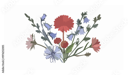 Vintage hand drawn wild flower bouquet vector with gerbera bluebell chicory in red pink and blue isolated on white