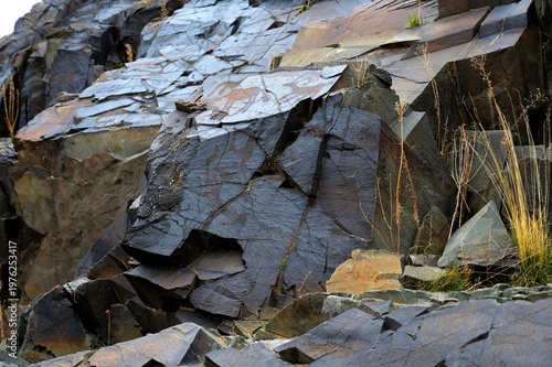 Bulls, goats, horses, people. Ancient rock carvings - Petroglyphs of Tanbaly,
Almaty Region, Zhambyl District, Matibulak Rural District District, Matibulak Rural District