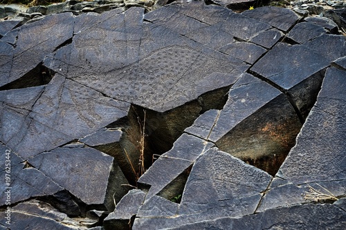 Magnificent bull with a speckled body pattern. Ancient rock carvings - Petroglyphs of Tanbaly,
Almaty Region, Zhambyl District, Matibulak Rural District District, Matibulak Rural District