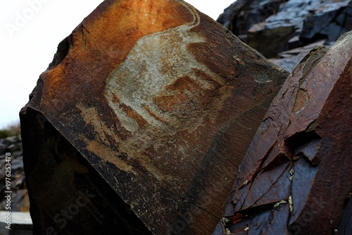 Bulls, goats, horses, people. Ancient rock carvings - Petroglyphs of Tanbaly,
Almaty Region, Zhambyl District, Matibulak Rural District District, Matibulak Rural District