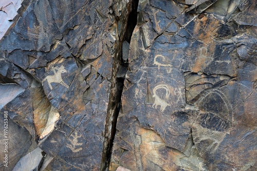 Bulls, goats, horses, people. Ancient rock carvings - Petroglyphs of Tanbaly,
Almaty Region, Zhambyl District, Matibulak Rural District District, Matibulak Rural District