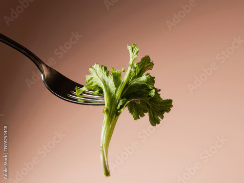 Fresh organic bunch of raw green parsley leaves on a fork isolated on white background as a healthy vegetarian herb ingredient for salad