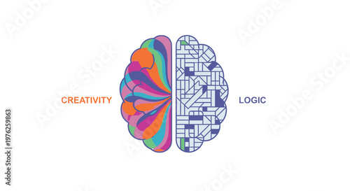 Brain illustration of creativity and logic.