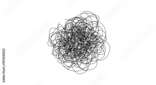 Intricate network of tangled black lines.