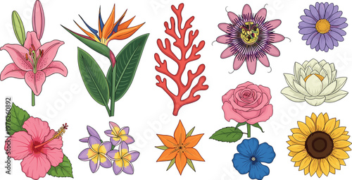 Colorful Tropical and Garden Flower Set with Hibiscus Rose Lily Sunflower Lotus and Exotic Botanical Elements in Detailed Vector Illustration