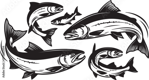 A dynamic collection of black salmon silhouettes, showcasing various fish in different swimming and leaping poses, representing freshwater and saltwater aquatic life, fishing, and healthy seafood, iso