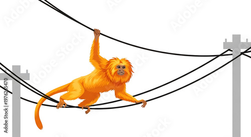 A vibrant orange monkey swinging on power lines with a white background