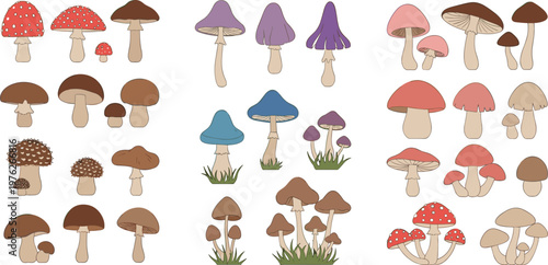 Large Set of Hand Drawn Mushroom Icons Featuring Various Forest Fungi Types in Different Shapes Colors and Natural Styles