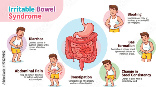 Irritable Bowel Syndrome IBS symptoms infographic with digestive system anatomy, abdominal pain and bloating medical vector illustration